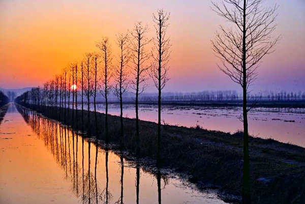 2月20日，在全椒縣武崗鎮(zhèn)荒草圩拍攝的春天日出景象。晉冬梅  攝.jpg