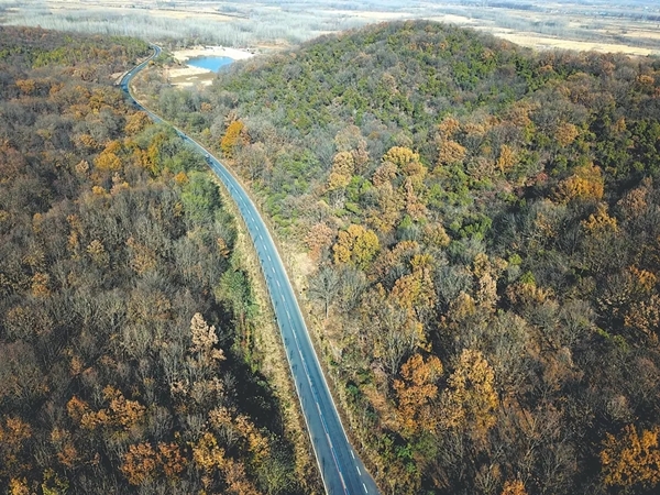 640 (1).webp (2).jpg