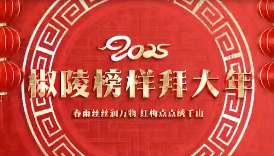 2025椒陵榜樣拜大年（中）